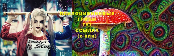 spice Алексеевка