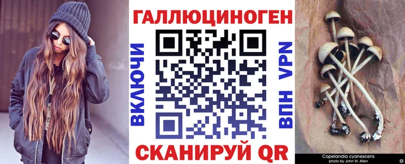 что такое   кракен ТОР  Галлюциногенные грибы Psilocybe  Цивильск 